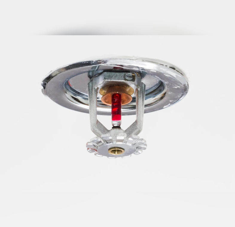 Close-up of a fire sprinkler head on a white ceiling.