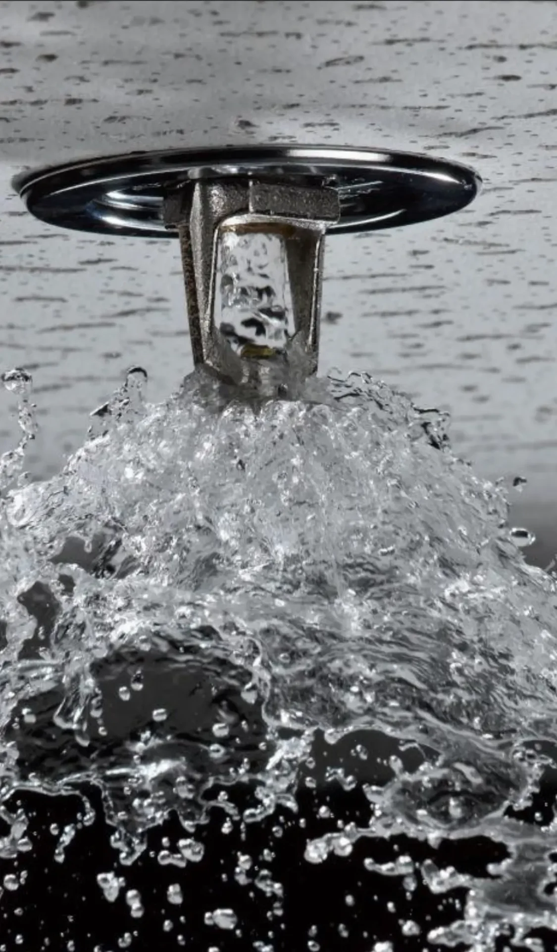 Activated ceiling sprinkler spraying water