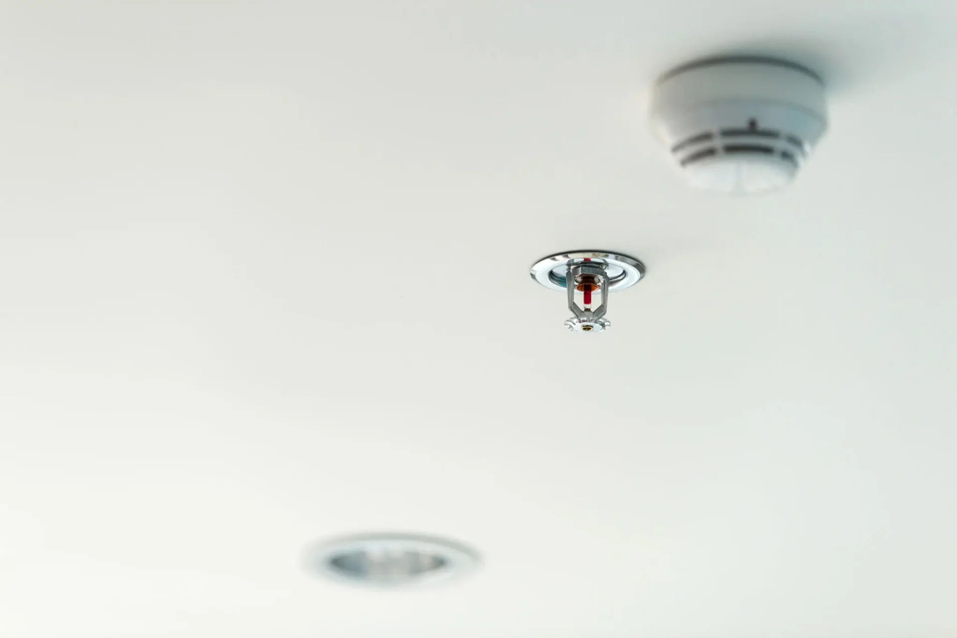 Ceiling fire sprinkler and smoke detector